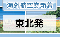 �ʰ¹Ҷ��������������ȯ