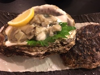 20_oyster.JPG