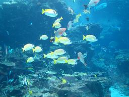 Ǯ�ӵ������᡼��