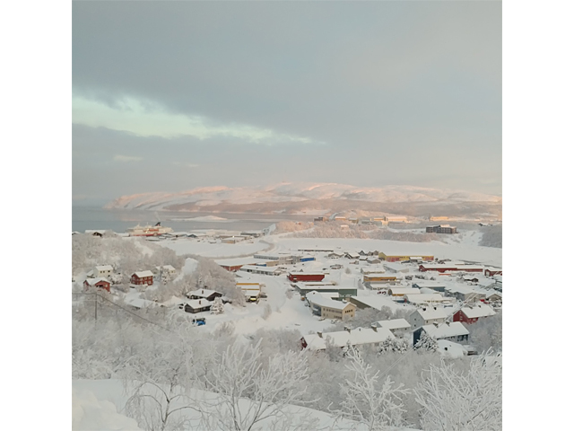 81.jpg
