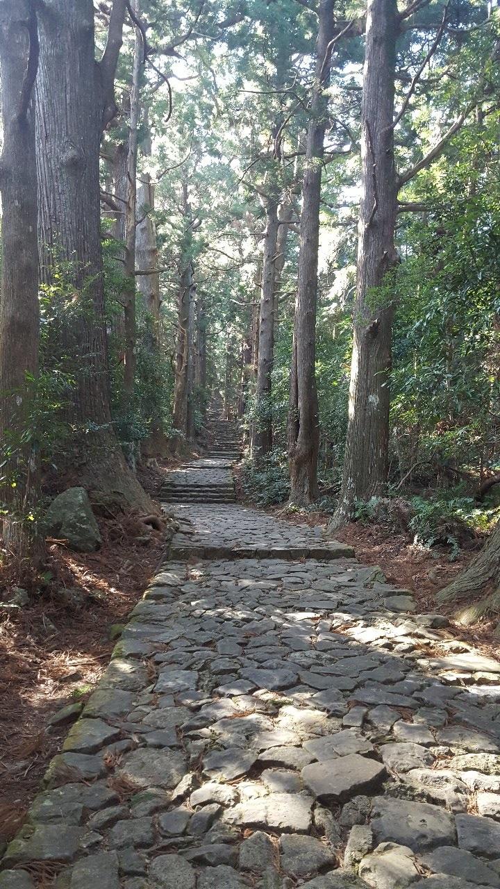 Kumano_Kodo_Pilgrimage_Trail.jpg