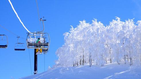 【福井県観光情報】写真13_スキージャム勝山2.jpgのサムネイル画像