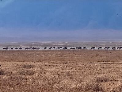 FE693_250922_OSA_250923221004044.jpg