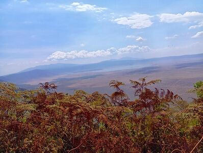 FE693_250922_OSA_250923202752369.jpg