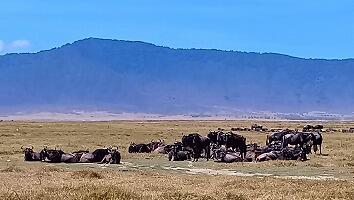 FE693_250922_OSA_250924163817162.jpg
