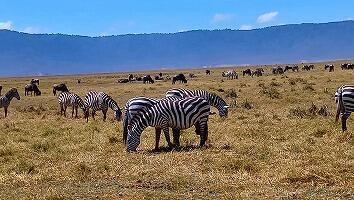 FE693_250922_OSA_250924164126805.jpg