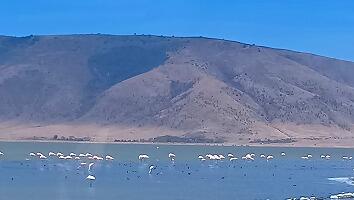 FE693_250922_OSA_250924171156579.jpg
