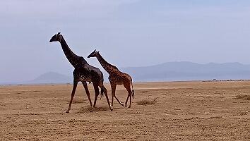 FE693_250922_OSA_250925164532844.jpg