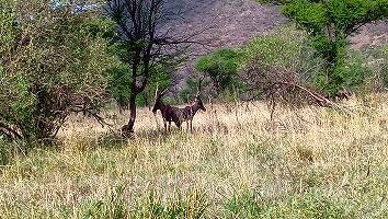 FE693_250922_OSA_250925221130023.jpg