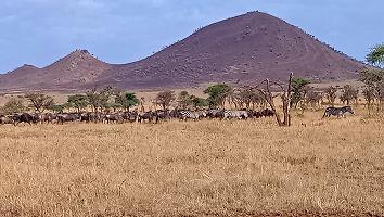 FE693_250922_OSA_250925222633503.jpg