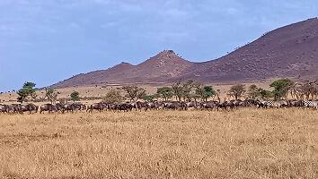 FE693_250922_OSA_250925222634888.jpg
