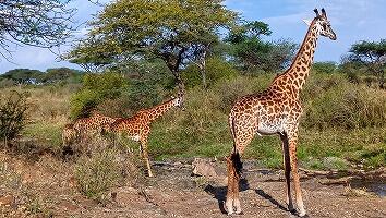 FE693_250922_OSA_250925224451922.jpg