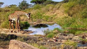 FE693_250922_OSA_250925224956307.jpg