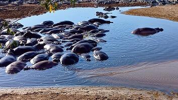 FE693_250922_OSA_250925225945972.jpg