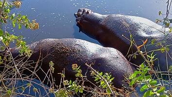 FE693_250922_OSA_250925230231853.jpg