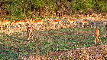 FE693_250922_OSA_250926001018503.jpg
