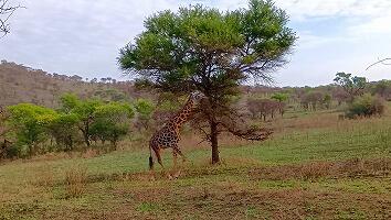 FE693_250922_OSA_250926135822234.jpg