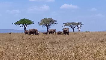 FE693_250922_OSA_250926171605130.jpg