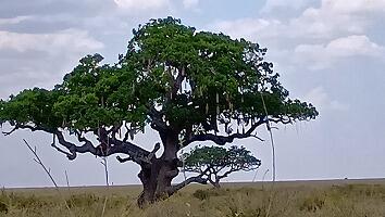 FE693_250922_OSA_250926172730040.jpg