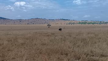 FE693_250922_OSA_250927122147726.jpg
