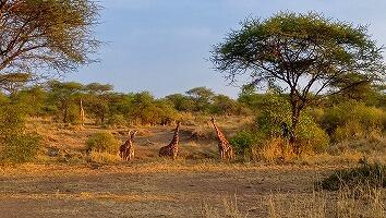 FE693_250922_OSA_250927130507755.jpg