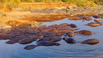 FE693_250922_OSA_250927132041310.jpg