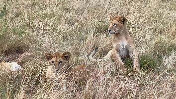 FE693_250922_OSA_250927144831749.jpg