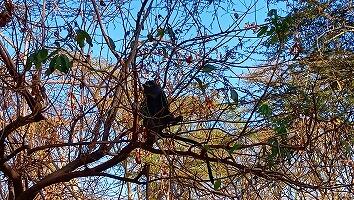 FE693_250922_OSA_250928162406688.jpg