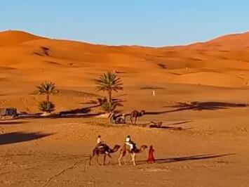 フレンドツアー　関東発　2026年2月18日出発　幻想のサハラ　エキゾチックモロッコ11日間（コース番号：FE105）