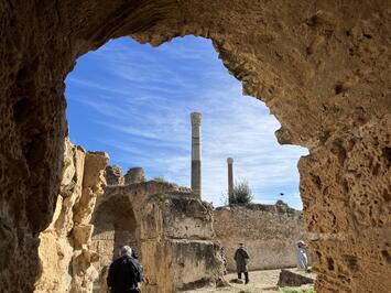 フレンドツアー　関東発　2025年12月15日出発　＜エールフランス航空利用＞古代ローマ遺跡と砂漠のオアシスを訪ねるチュニジア11日間（コース番号：FE682）