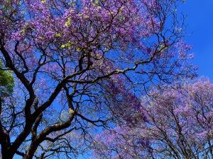 FE002_20251016TYO_ (114).jpg