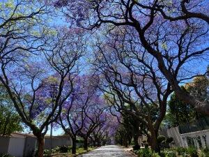 FE002_20251016TYO_ (115).jpg