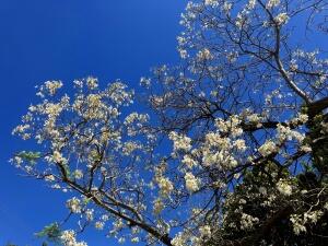 FE002_20251016TYO_ (117).jpg