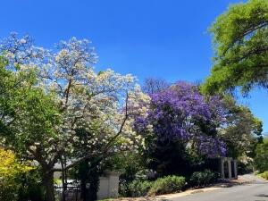 FE002_20251016TYO_ (118).jpg