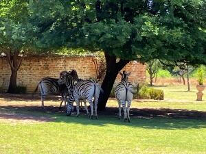 FE002_20251016TYO_ (121).jpg