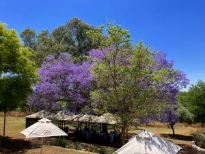 FE002_20251016TYO_ (122).jpg