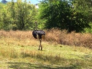 FE002_20251016TYO_ (126).jpg