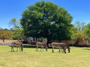 FE002_20251016TYO_ (127).jpg