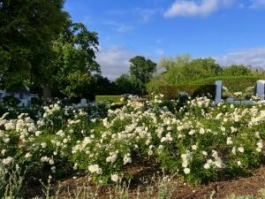 FE002_20251016TYO_ (144).jpg