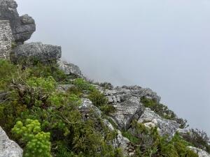 FE002_20251016TYO_ (148).jpg