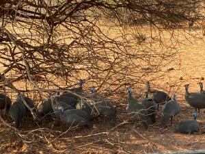 FE002_20251016TYO_ (15).jpg