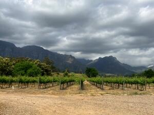 FE002_20251016TYO_ (159).jpg