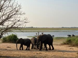 FE002_20251016TYO_ (16).jpg