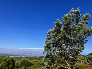 FE002_20251016TYO_ (162).jpg