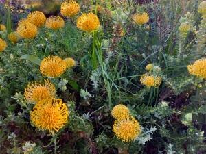 FE002_20251016TYO_ (164).jpg