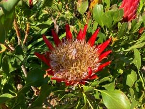 FE002_20251016TYO_ (165).jpg