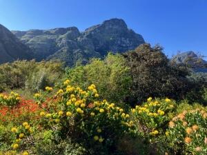 FE002_20251016TYO_ (166).jpg