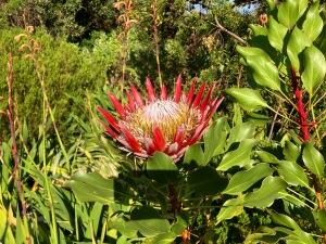 FE002_20251016TYO_ (167).jpg