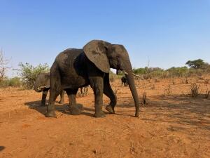 FE002_20251016TYO_ (17).jpg