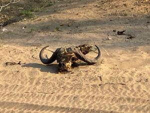 FE002_20251016TYO_ (18).jpg